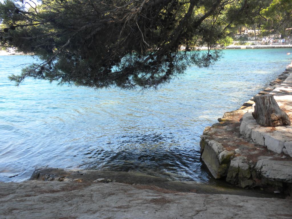 Kod mosta, Mljet