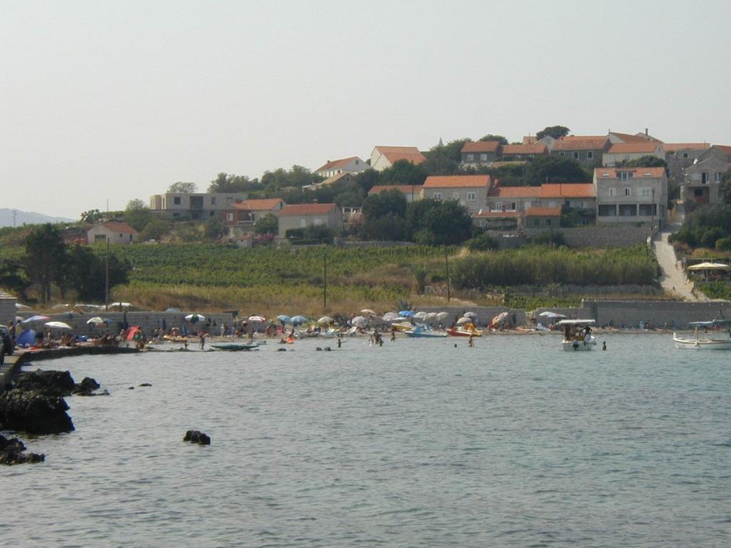 Bilin žal, Lumbarda