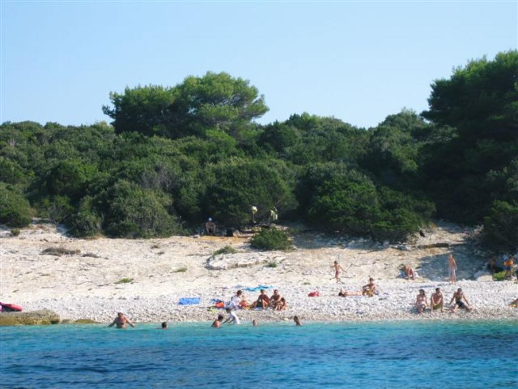 Proizd, Vela Luka