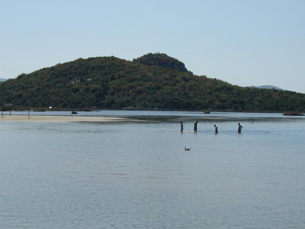 Ušće, Ploče