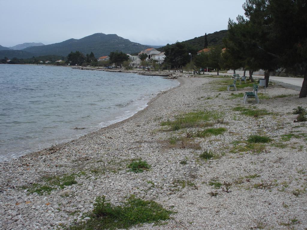 Drače, Janjina