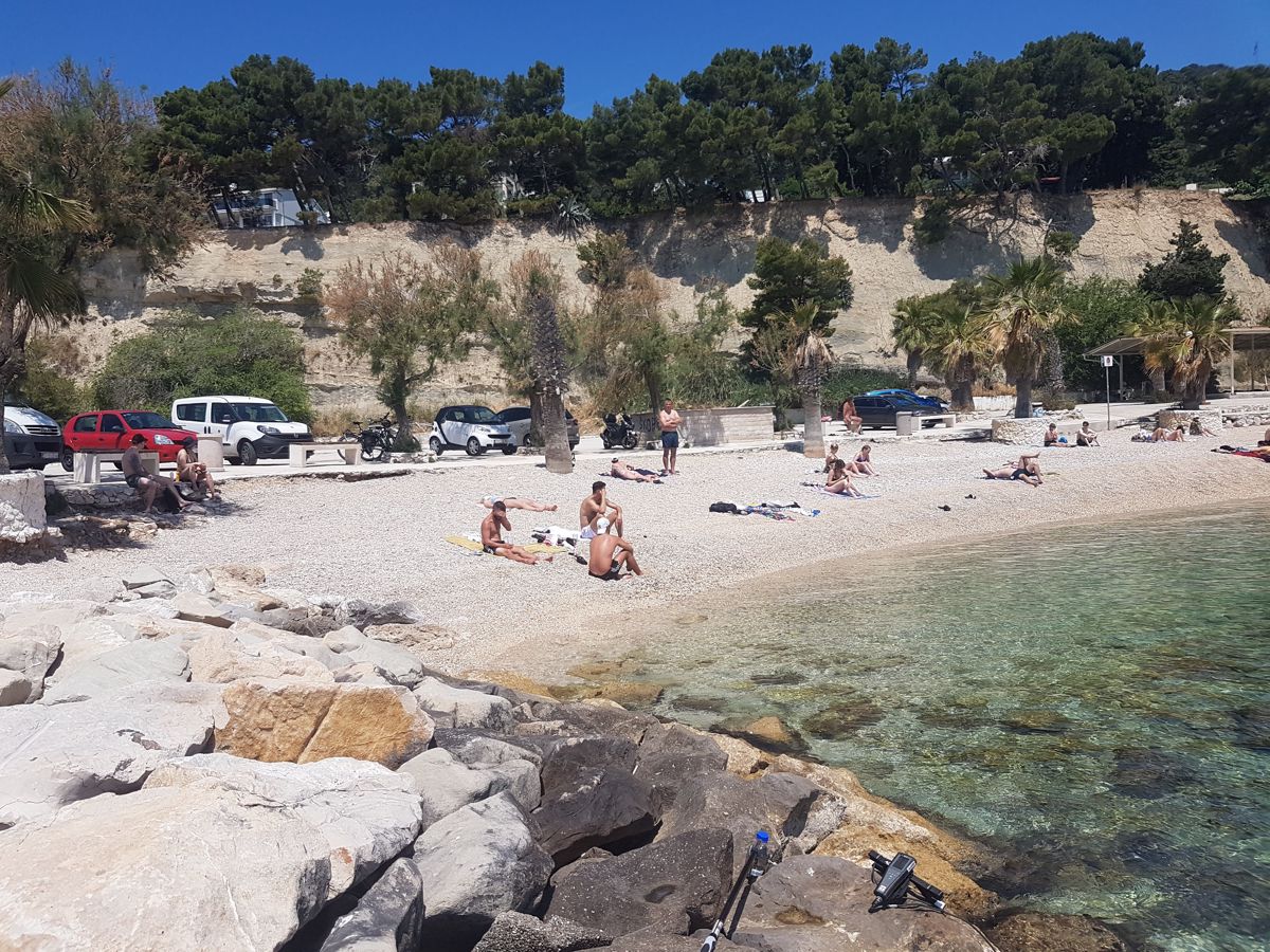 Ježinac, Split