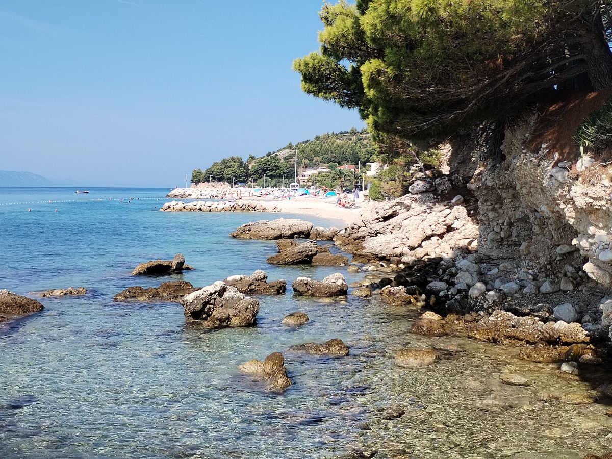 Ak. Dole, Podgora