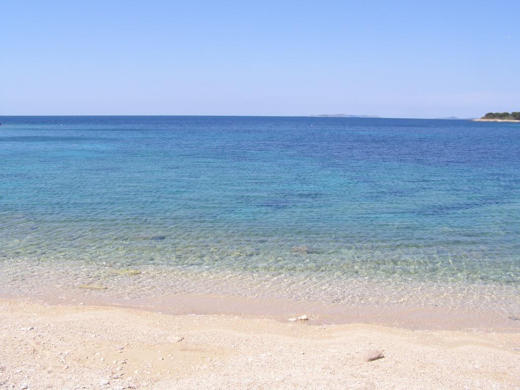 Raduča mala, Primošten