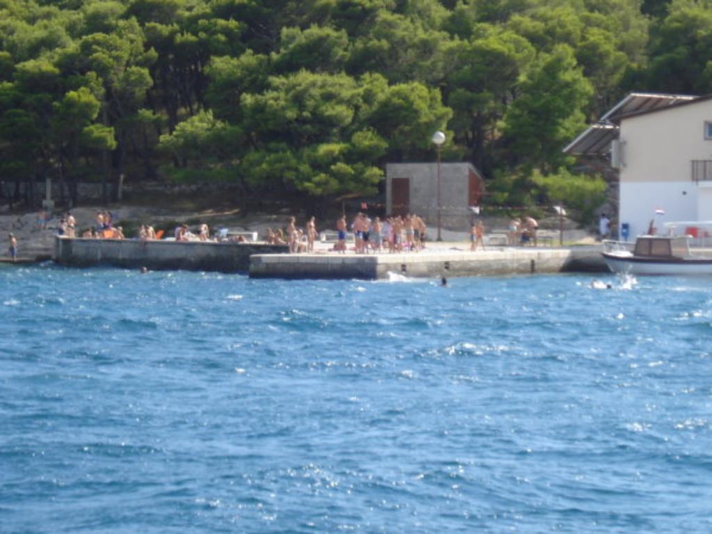 Prvić Luka, mjesto, Vodice