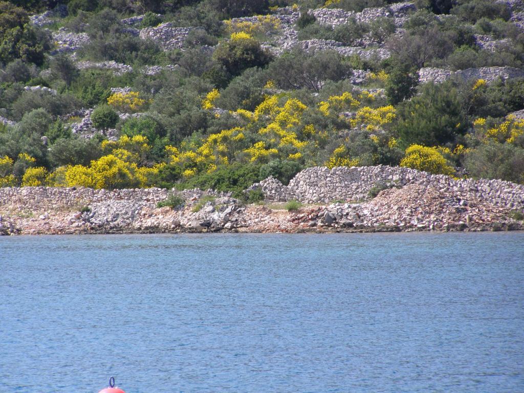Kaprije, mjesto, Šibenik