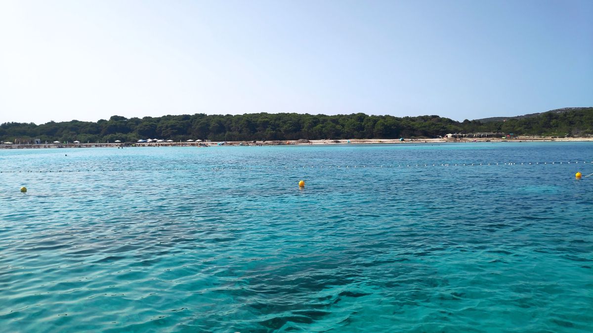Uvala Saharun, Sali