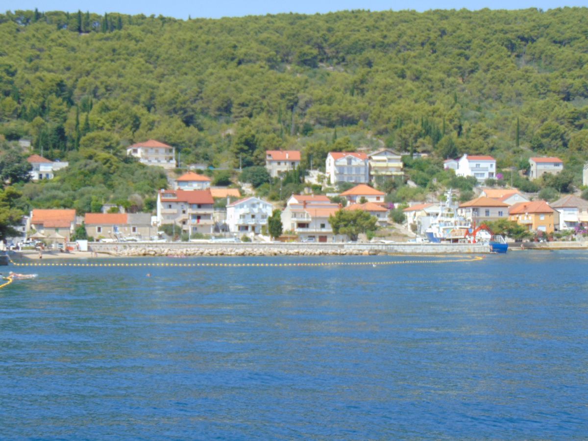 Kolegini, Kali