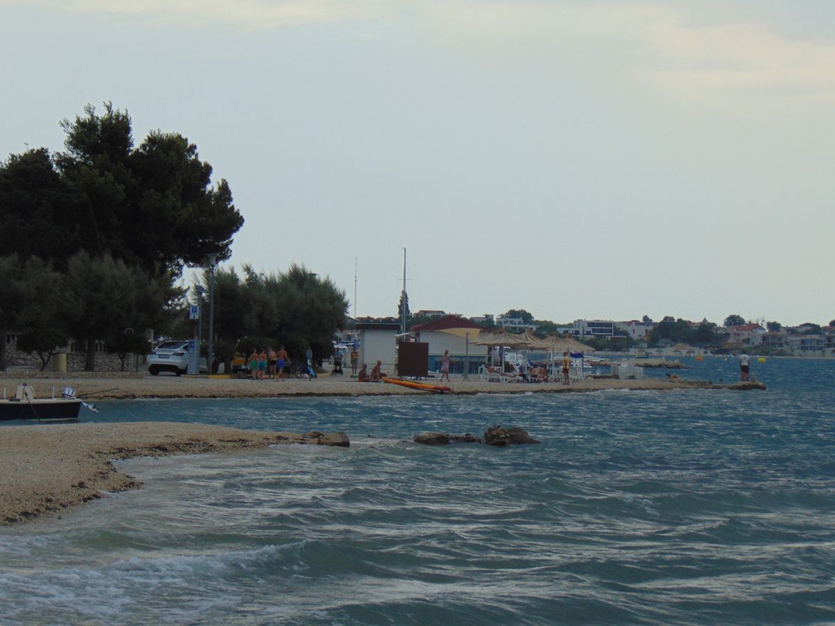 Mulo, Vrsi