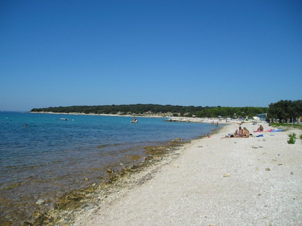 Braničevica, Novalja