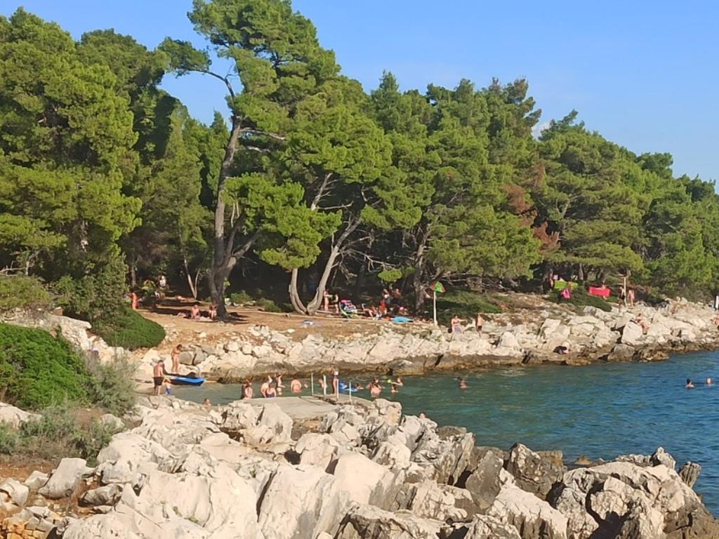 Kandarola, Rab