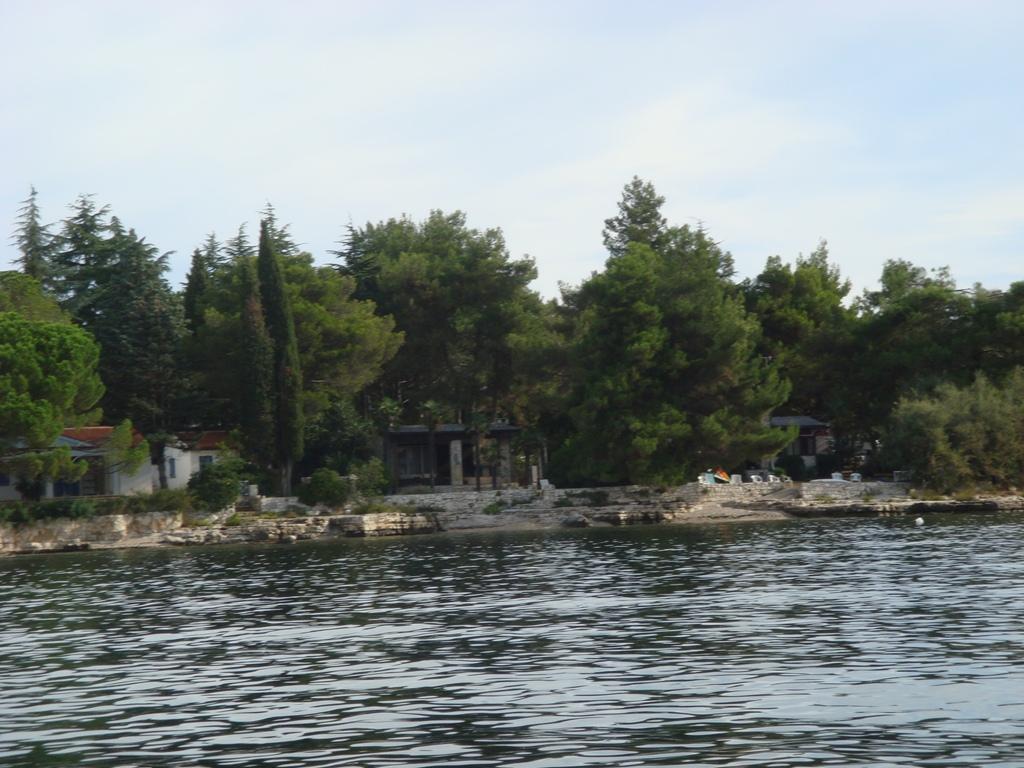Špina - Špina, Umag