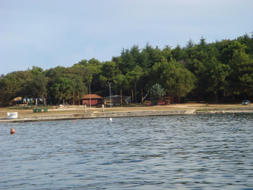 Pelegrin - Pelegrin, Umag