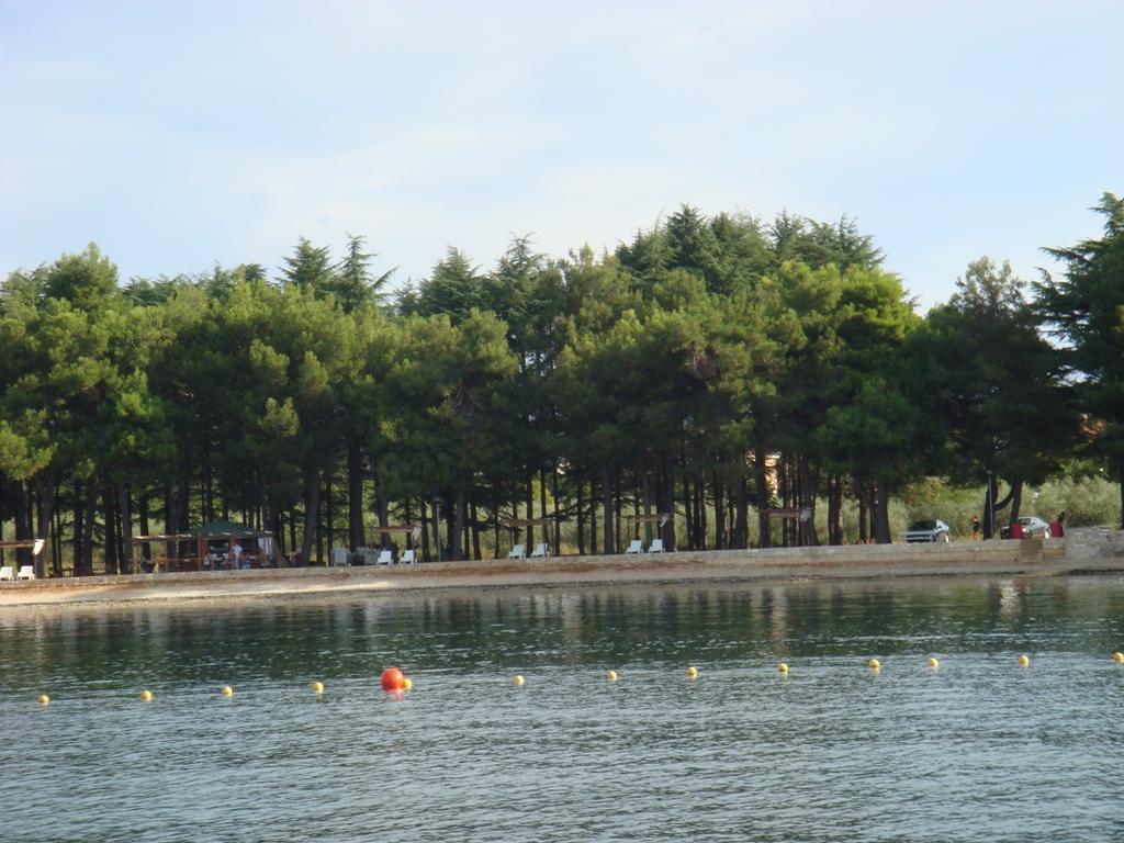 Novigrad - Karpinjan, Novigrad