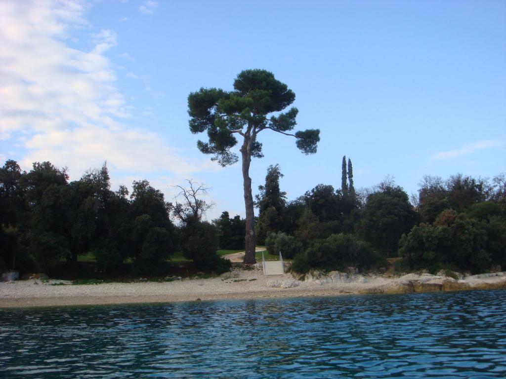 Crveni otok - Prema rtu Kurent, Rovinj