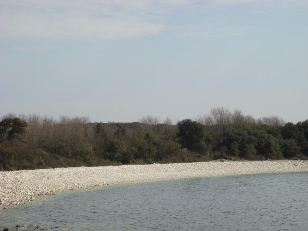 Barbariga Mandriol, Vodnjan