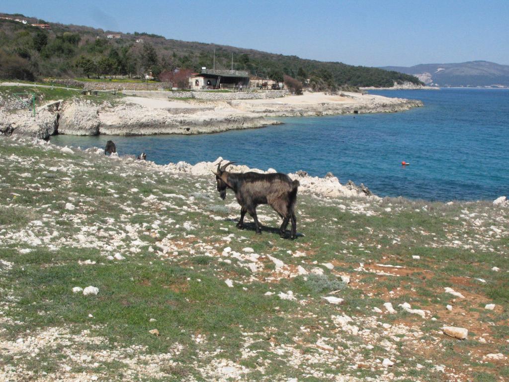 TN Ravni - Pozicija I, Raša