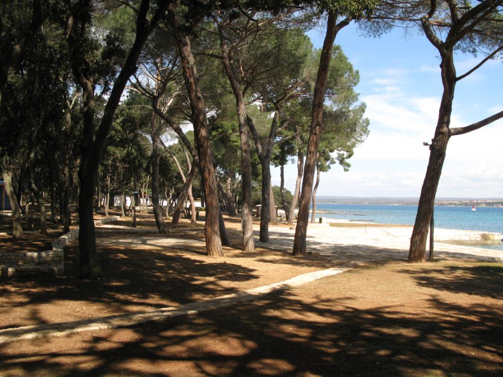 Nacionalni park Brijuni - Centralna plaža - drveni molo, Pula