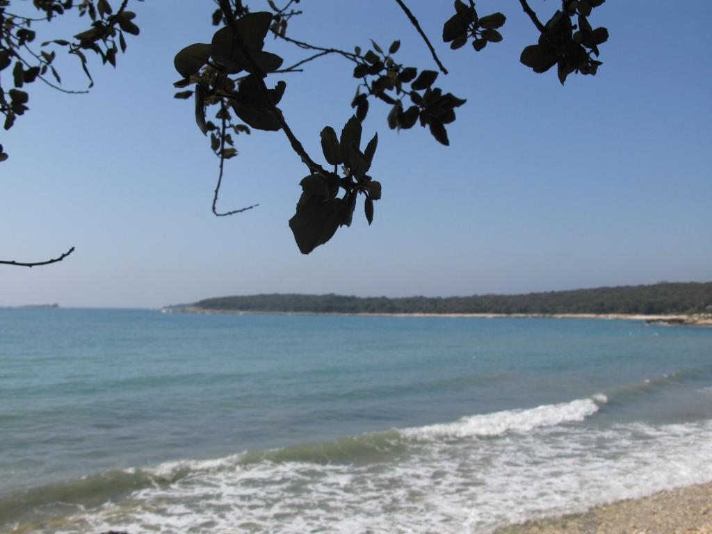 Kolone - Uvala Sv. Pavao, Rovinj