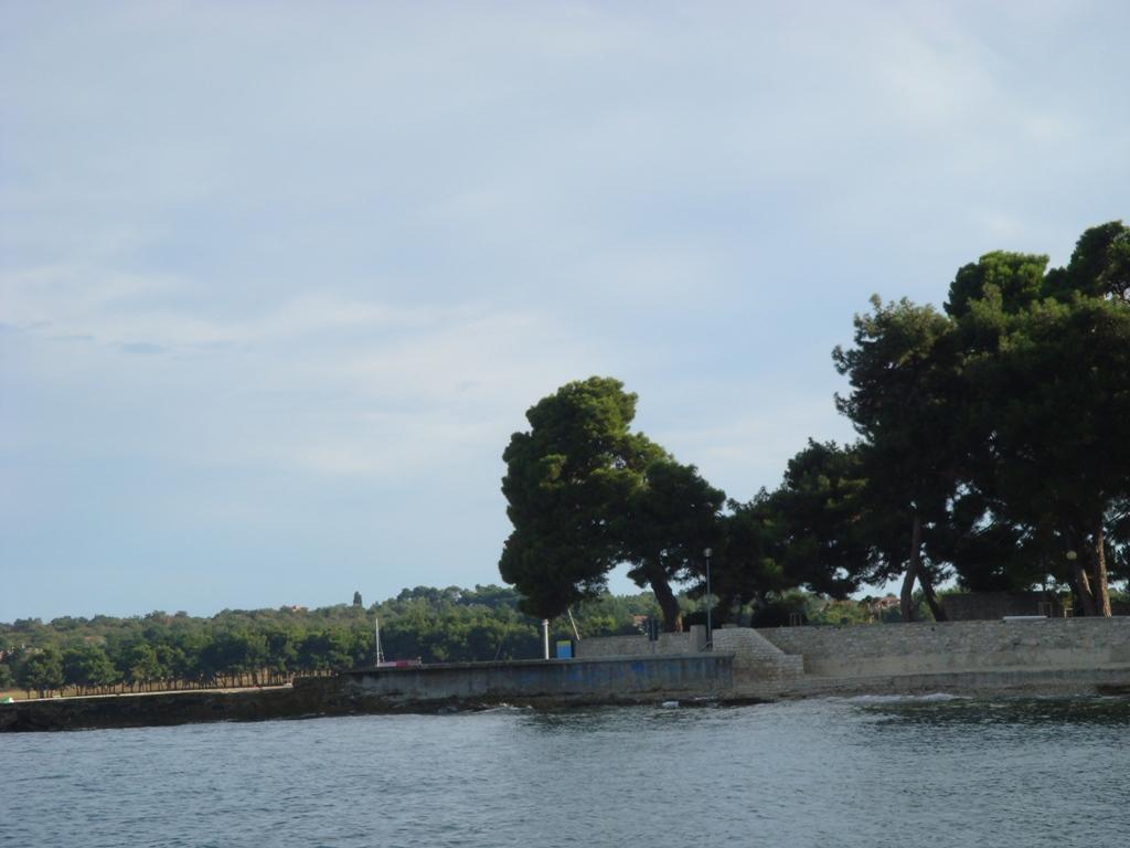 Novigrad - Rivarela, Novigrad